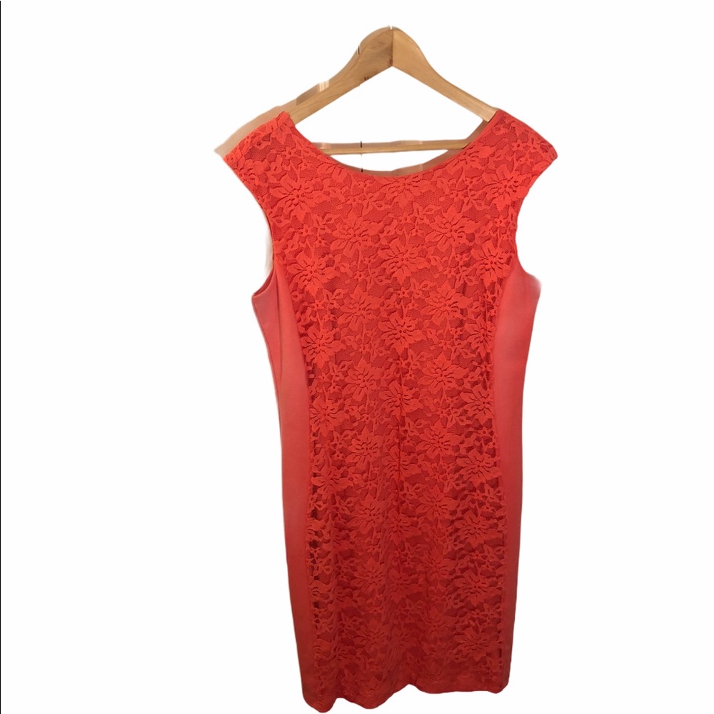 Pink Lace Panel Dress